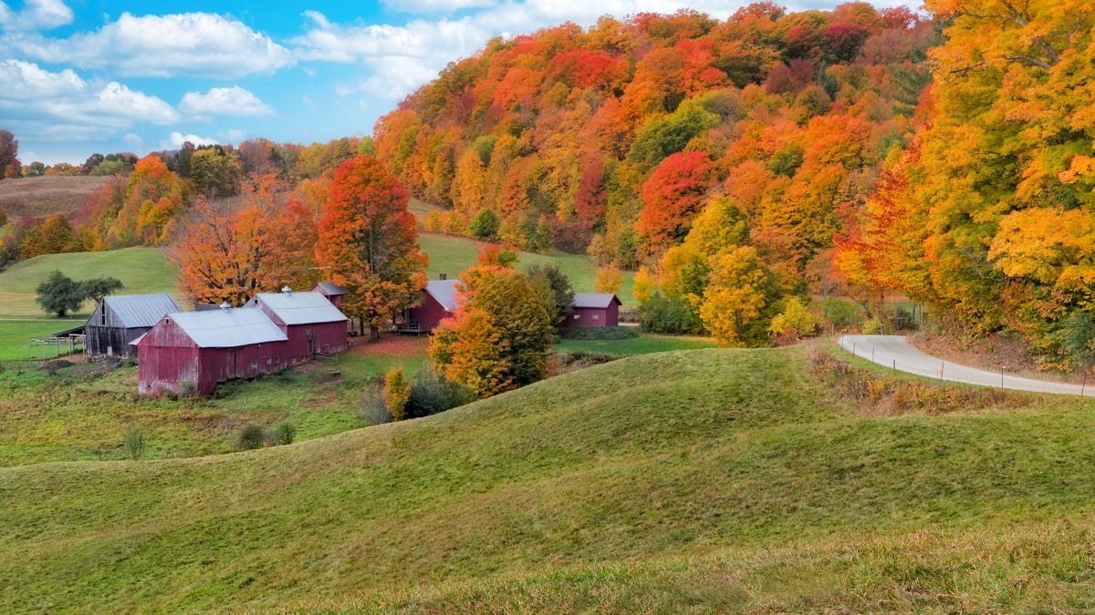 preview for Everything to Know About the Fall Equinox