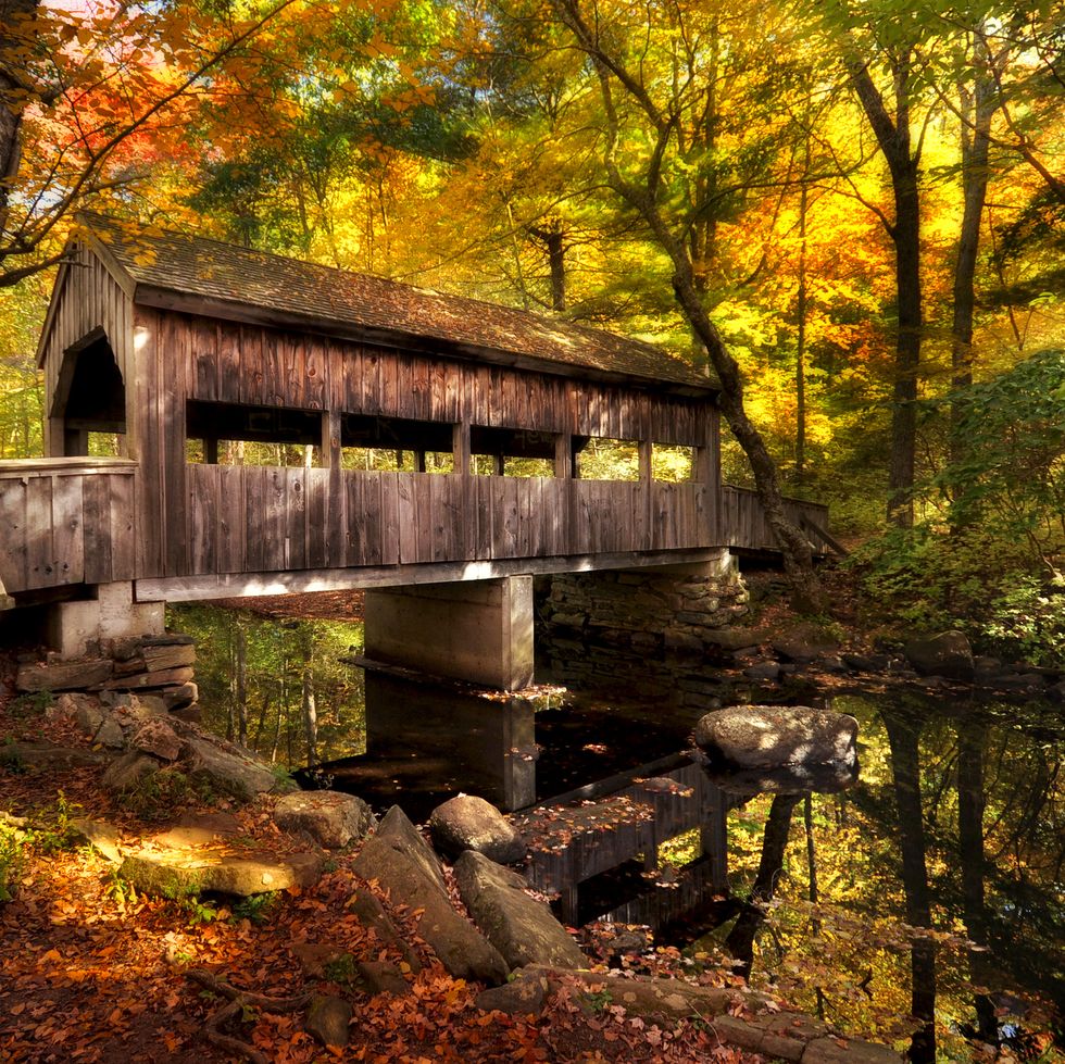 covered bridge crosses stream will changing fall leaves in the background
