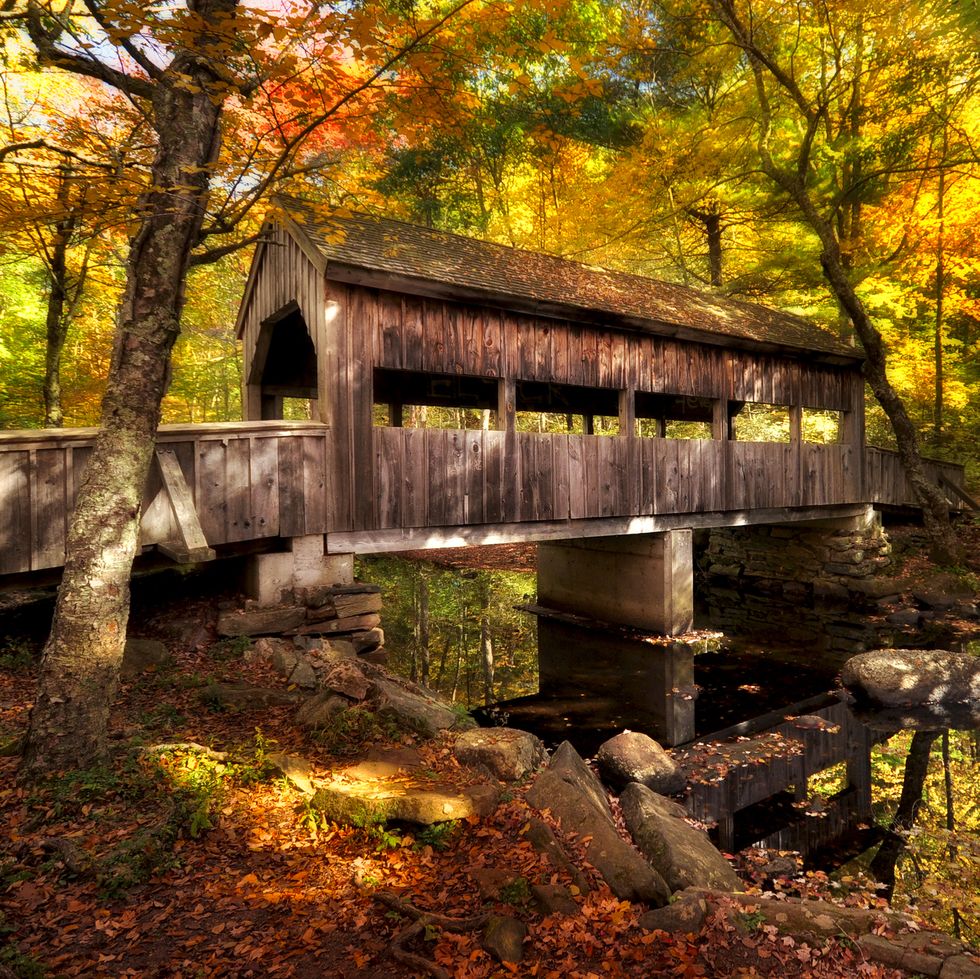 covered bridge crosses stream will changing fall leaves in the background