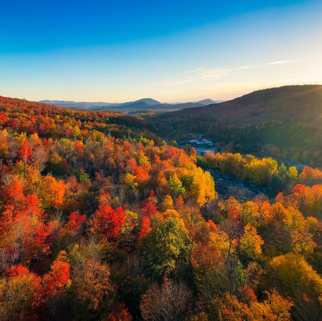 aerial view of mountain forests at sunrise new england