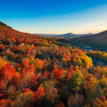 aerial view of mountain forests at sunrise new england