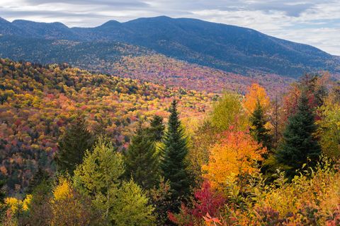 white mountain national forest, lincoln, new hampshire, usa