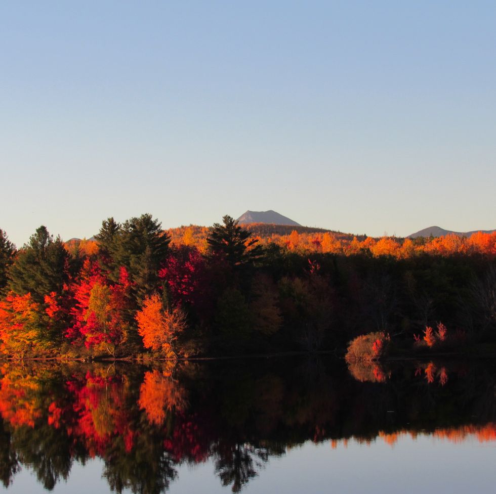 fall foliage along the in the penobscot river in baxter state park in millinocket maine