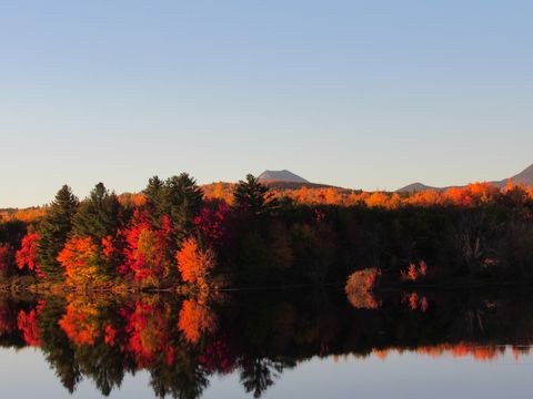 fall foliage along the in the penobscot river in baxter state park in millinocket maine