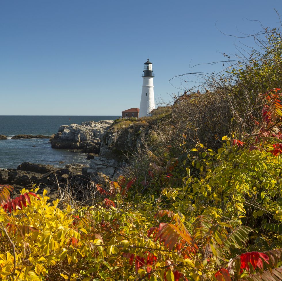 autumn scene with virbrant colors against a clear blue sky featuring the iconic portland head lighthouse at cape elizabeth