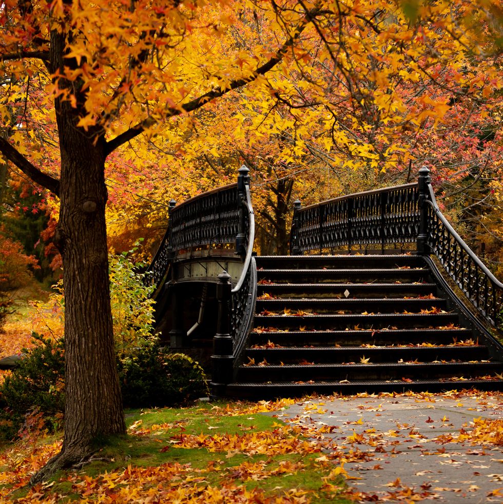 Best New England Fall Foliage Places to Visit in 2022