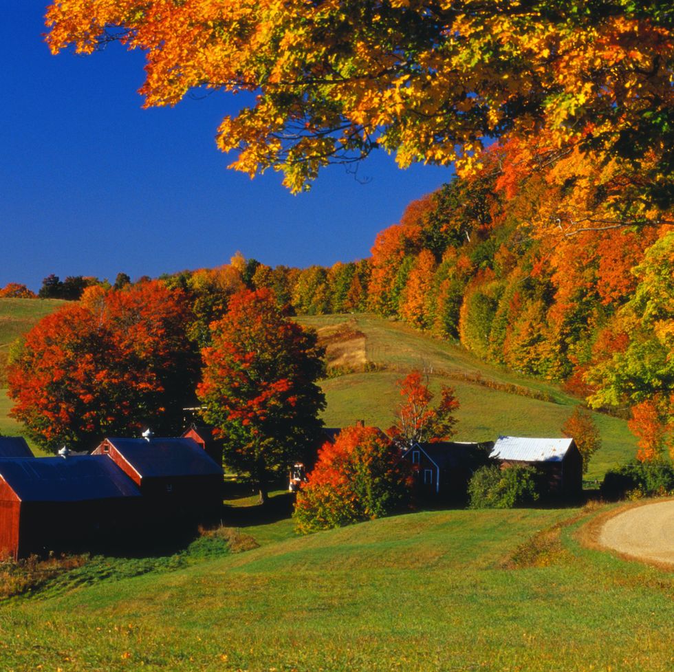 fall colors surrounding vermont farm