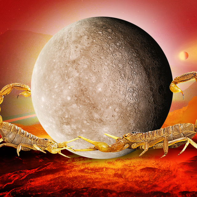 a moon surrounded by scorpions