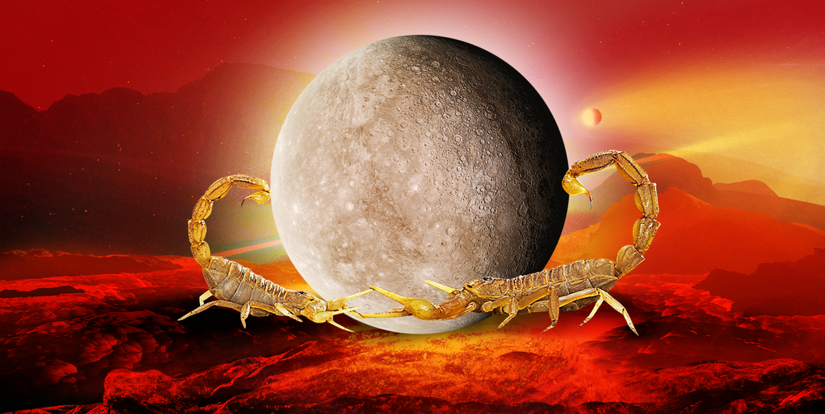 New Moon in Scorpio November 2023 Astrology Meaning & Horoscope