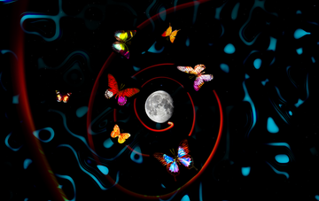 butterflies flying around a full moon