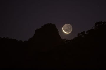 new moon over forest