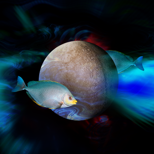 a fish swimming by the moon