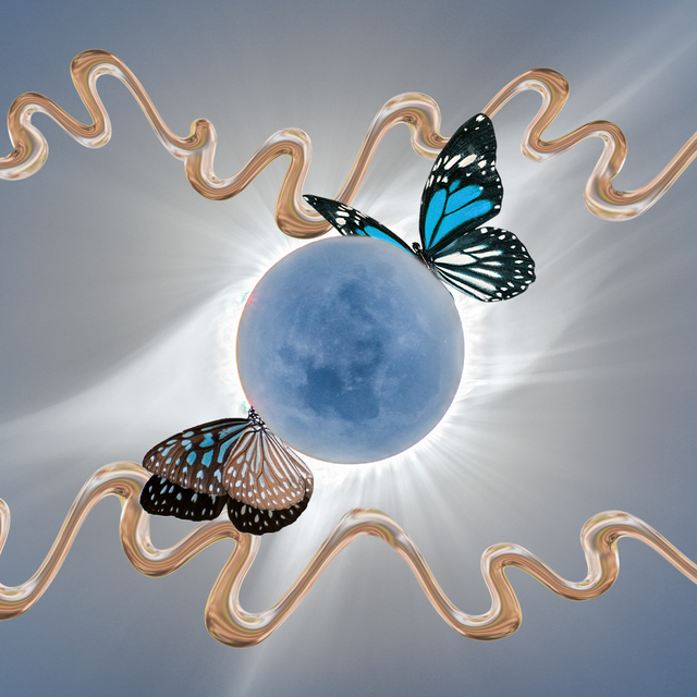 two butterflies meet over a new moon eclipse