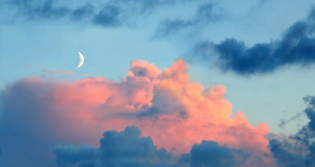 What August’s New Moon In Virgo Means For Your Zodiac Sign