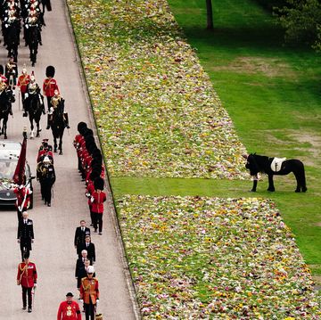 windsor, england   september 19 emma, the monarchs fell pony, stands as the ceremonial procession of the coffin of queen elizabeth ii arrives at windsor castle ahead of the committal service at st georges chapel on september 19, 2022 in windsor, england the committal service at st georges chapel, windsor castle, took place following the state funeral at westminster abbey a private burial in the king george vi memorial chapel followed queen elizabeth ii died at balmoral castle in scotland on september 8, 2022, and is succeeded by her eldest son, king charles iii photo by aaron chown wpa poolgetty images