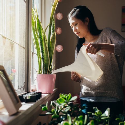 a woman watering her plant that is perched in the windowsill