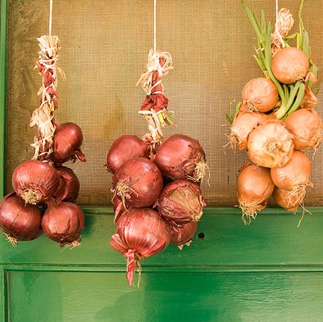 hanging an onion on the door is a greek new year tradition
