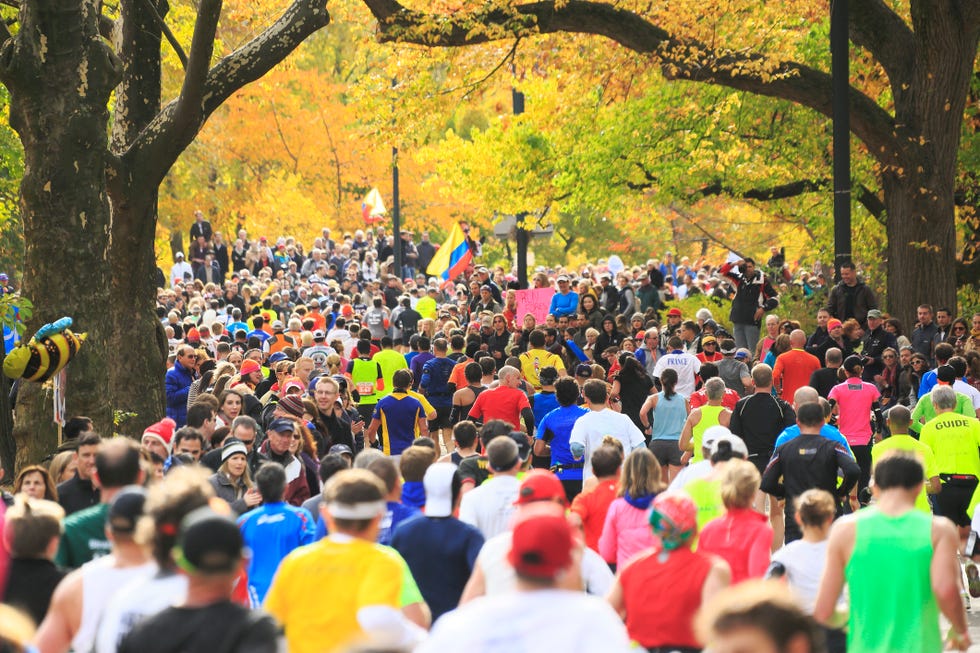 New York City Marathon runners under autumn trees.