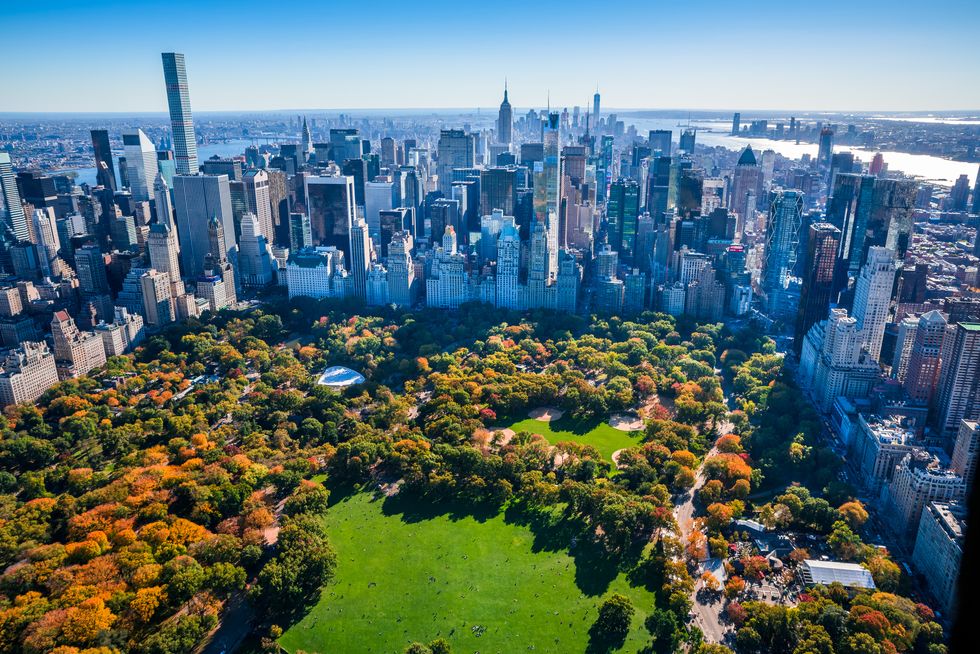 new york city skyline, central park, autumn foliage, aerial view