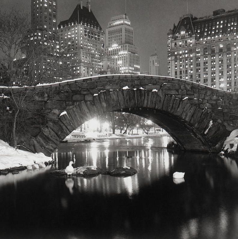 New York Pond in Winter