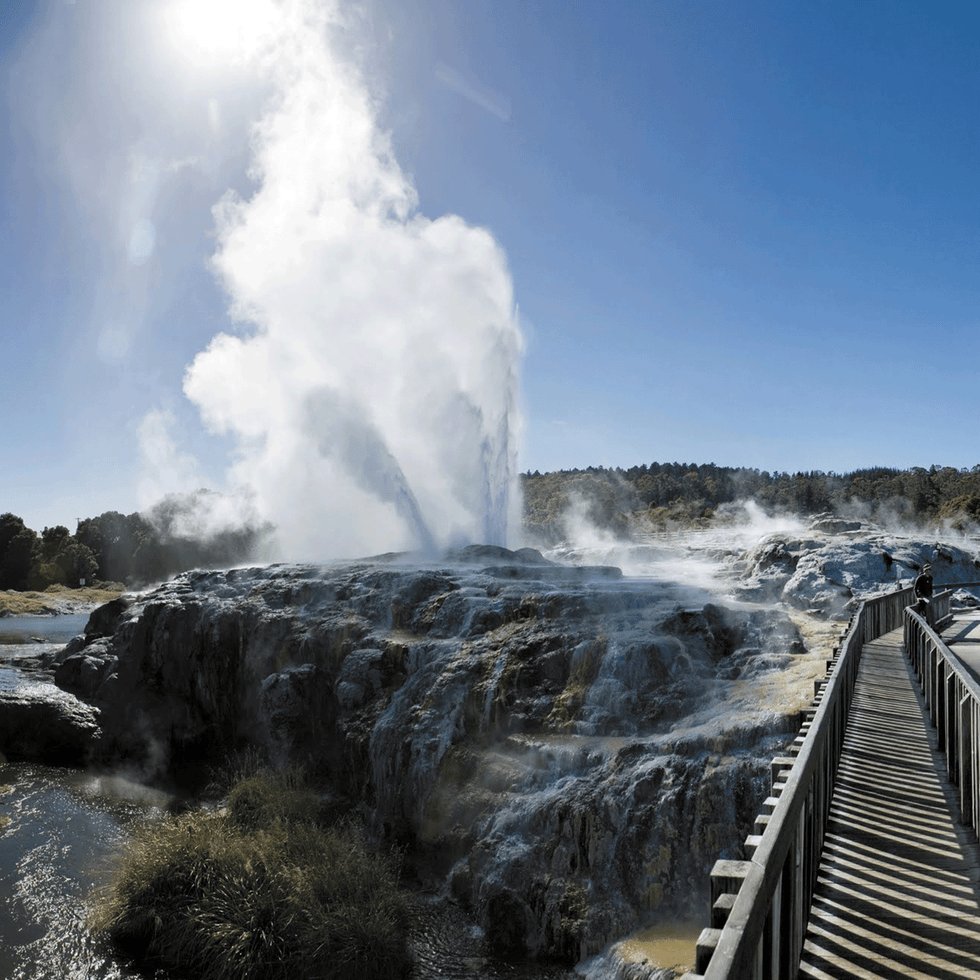 geysers in new zealand
