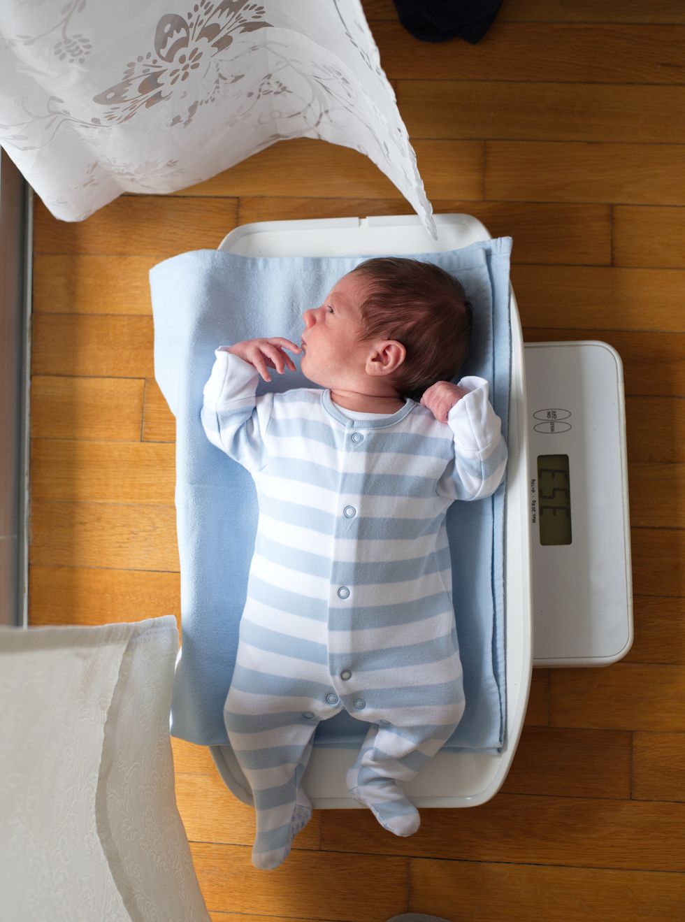 ver cuánto engorda el bebé recién nacido como en la foto es importante para controlar cómo evoluciona la curva de peso del bebé