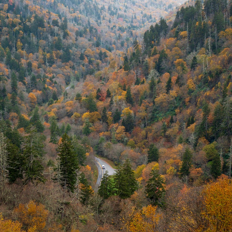 newfound gap at great smoky mountains national park in sevier county, tennessee