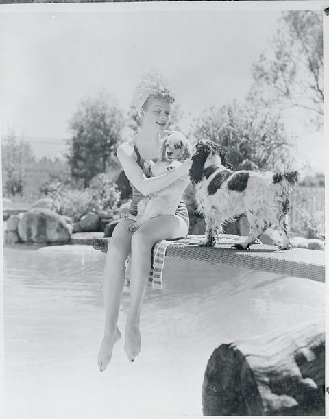 comedienne lucille ball playing with dogs at poolside