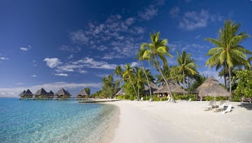 beach at the intercontinental resort, matira, bora bora island, french polynesia