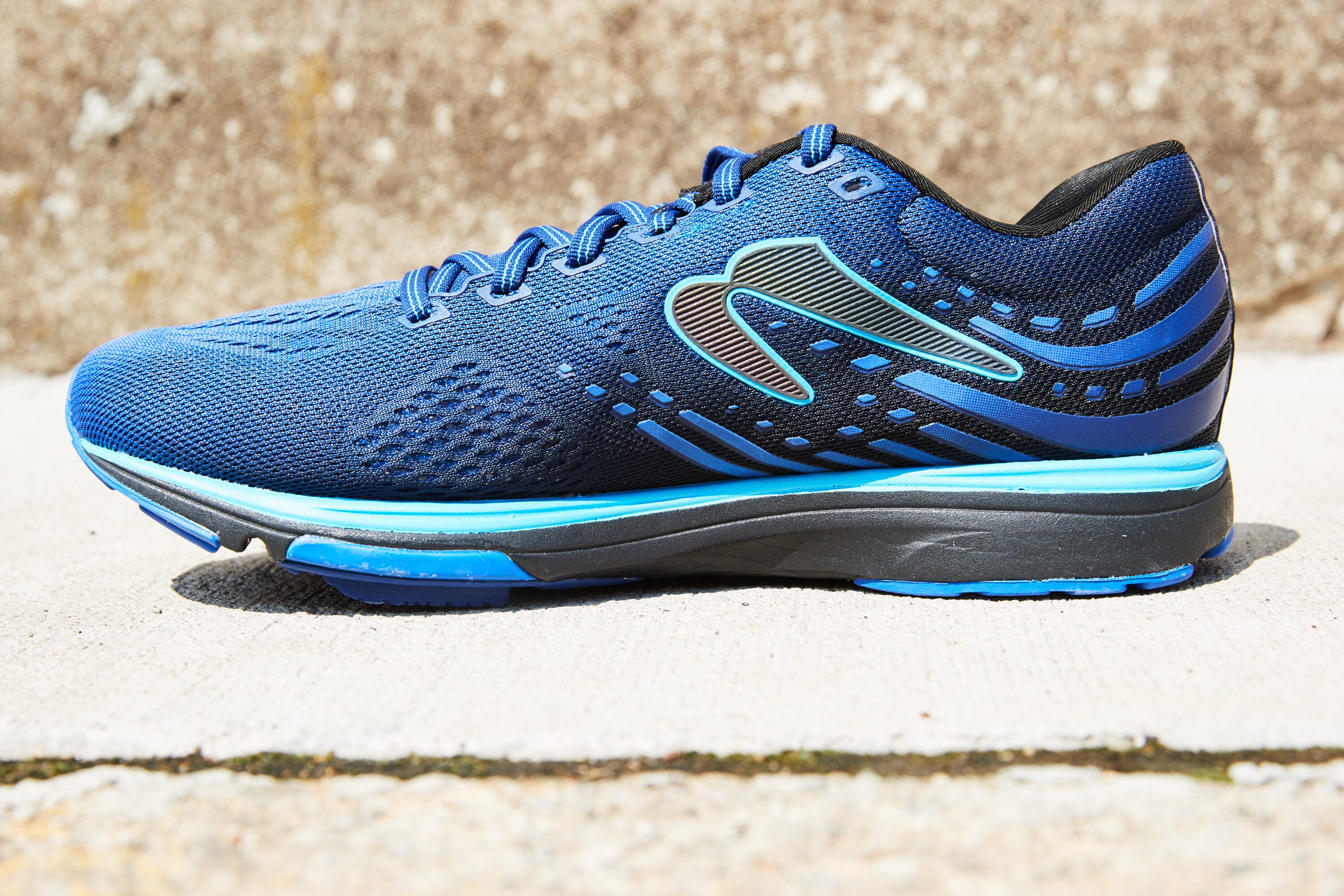 newton fate 7