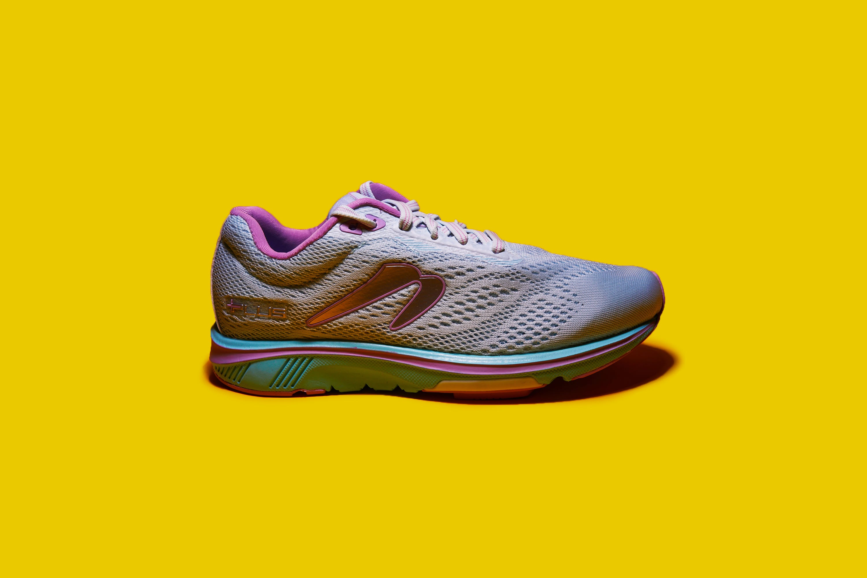 newton gravity plus