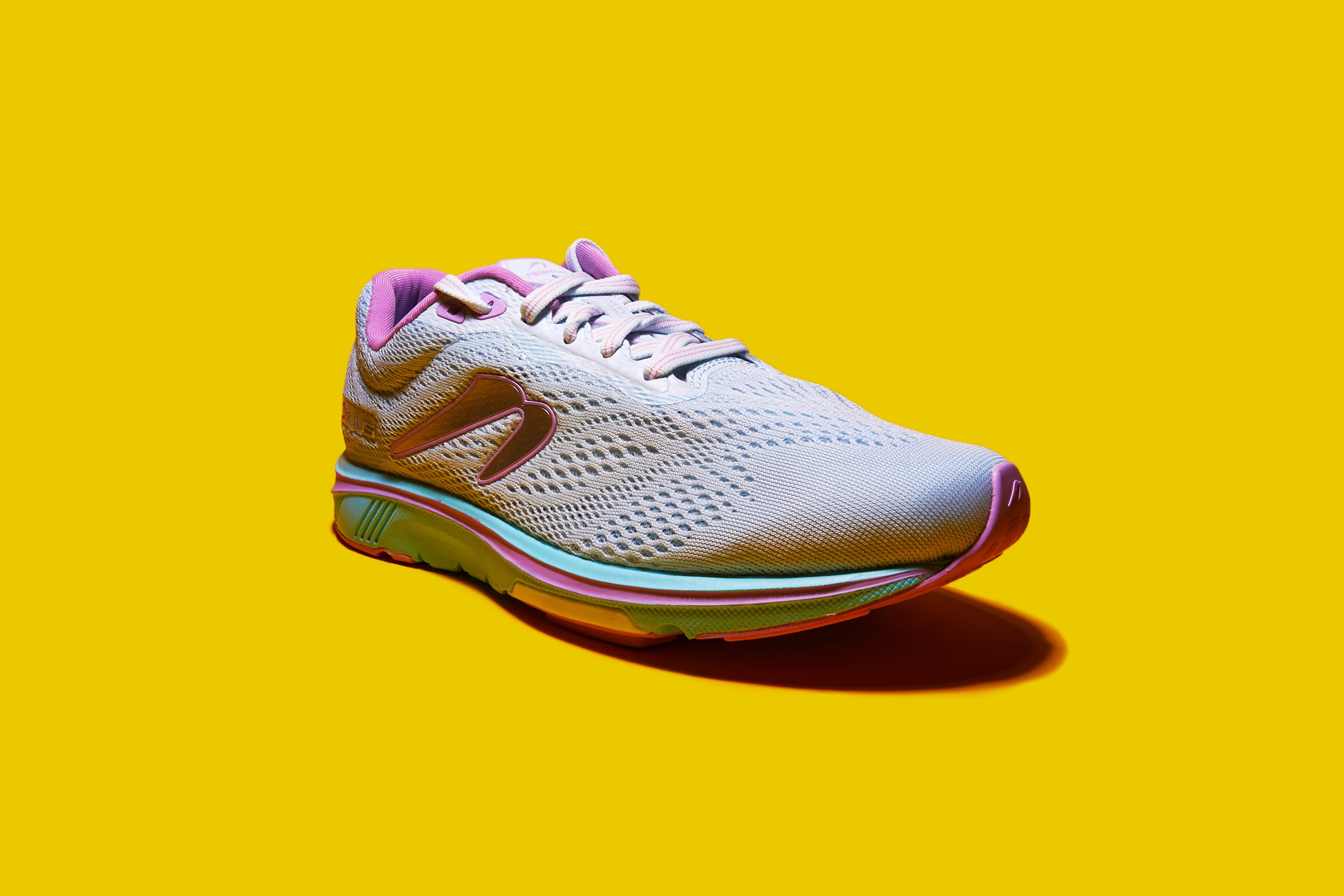 newton gravity plus