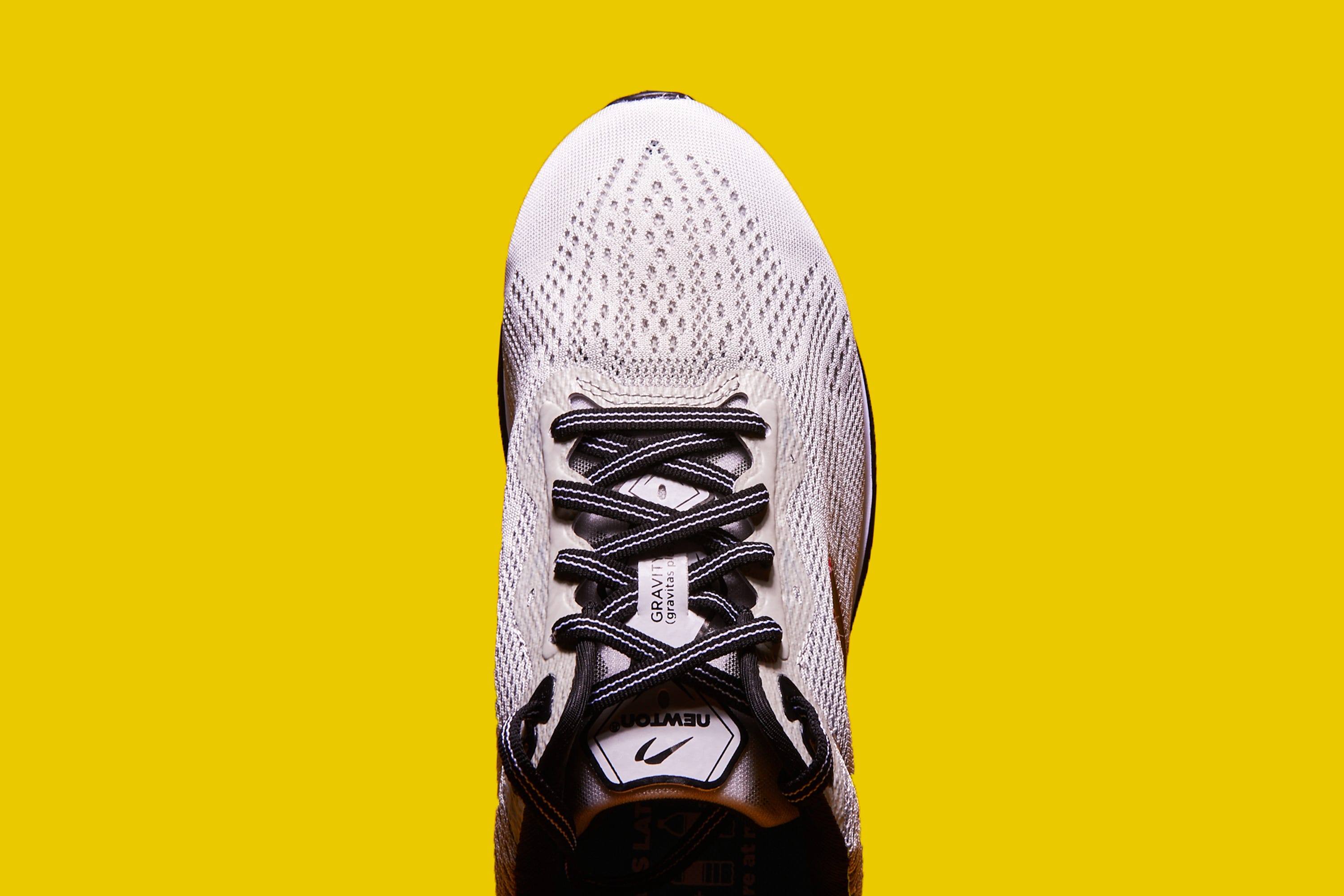 newton gravity plus