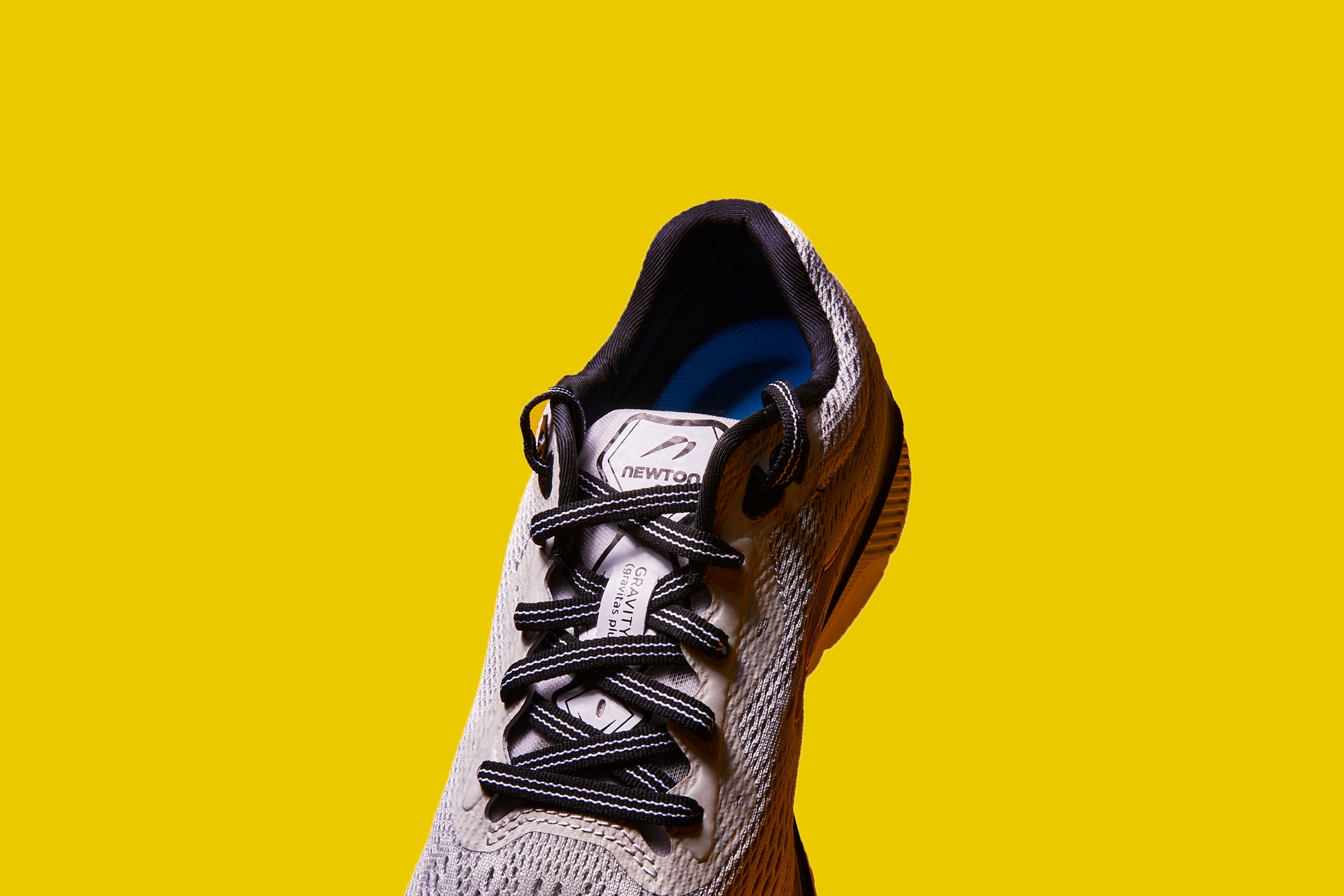 newton gravity plus