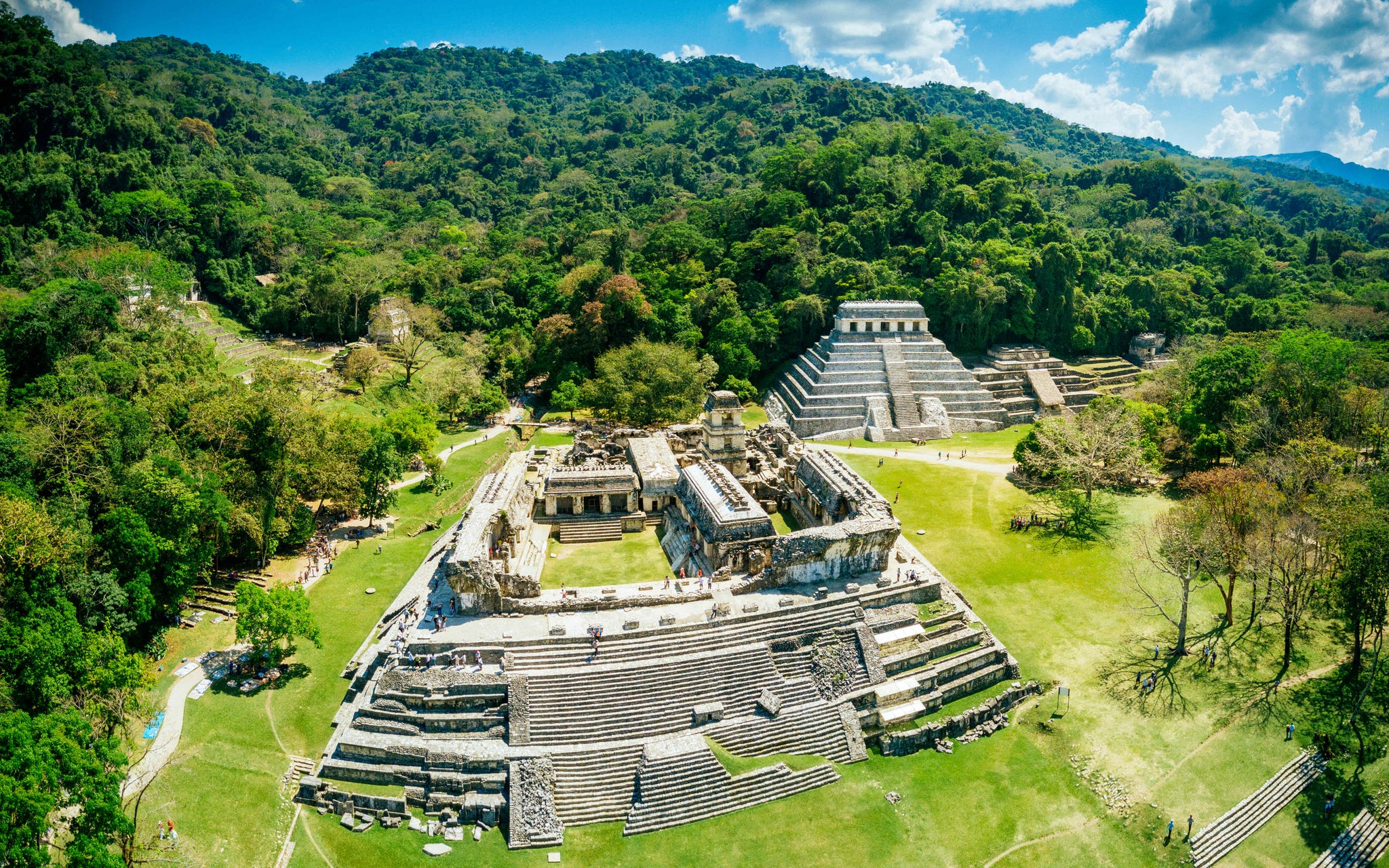 palenque een mayastad in de mexicaanse jungle
