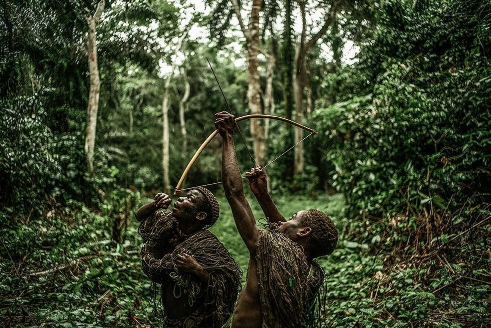 Inheemse Mbuti jagen op wild in het Ituri regenwoud in NoordoostCongo Door de voortgaande ontbossing is de buitenwereld inclusief alcohol radio en andere moderne verworvenheden onherroepelijk hun leefgebied binnengedrongen