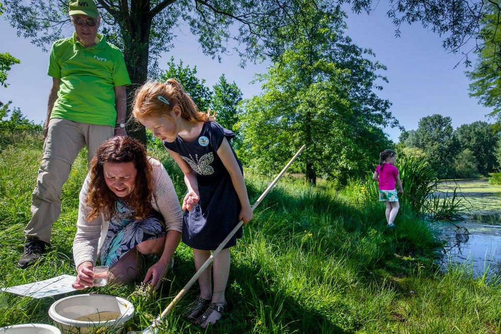 In juni onderzoeken duizenden vrijwilligers in heel Nederland de biodiversiteit en waterkwaliteit van sloten een initiatief van IVN waterschappen het Nederlands Instituut voor Ecologie en Wageningen University  Research