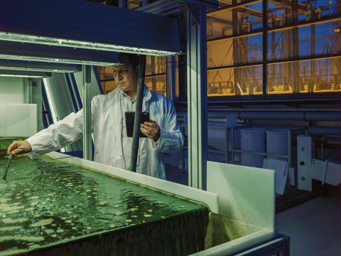 wetenschappers van de technische universitt mnchen doen samen met airbus onderzoek naar de productie van biobrandstof uit algen en de toepassing van koolstofvezel bij de bouw van lichtgewicht vliegtuigen algen nemen tijdens hun groei co2 op dus als ze als brandstof worden gebruikt draagt dat bij tot een duurzame energiecyclus