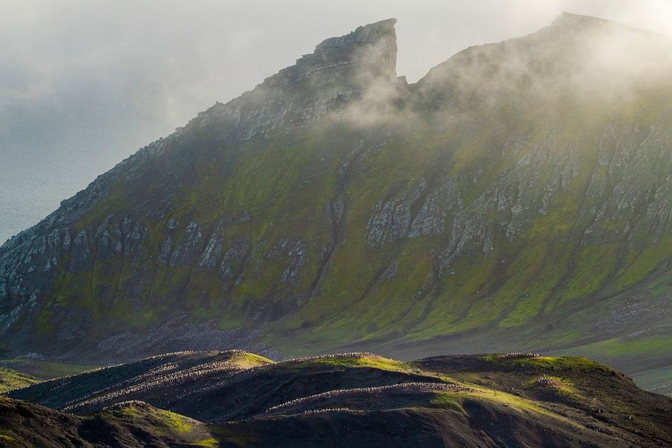 110 kilometer ten noorden van het Antarctisch Schiereiland broeden honderdduizend stormbandpinguns op het groene korstmos van landtong Baily Head op Deception Island De geothermische warmte voorkomt gletsjervorming Blijft de aarde opwarmen dan zien veel van deze eilanden er straks zo uit Alsof je in een glazen bol kijkt zegt Peschak