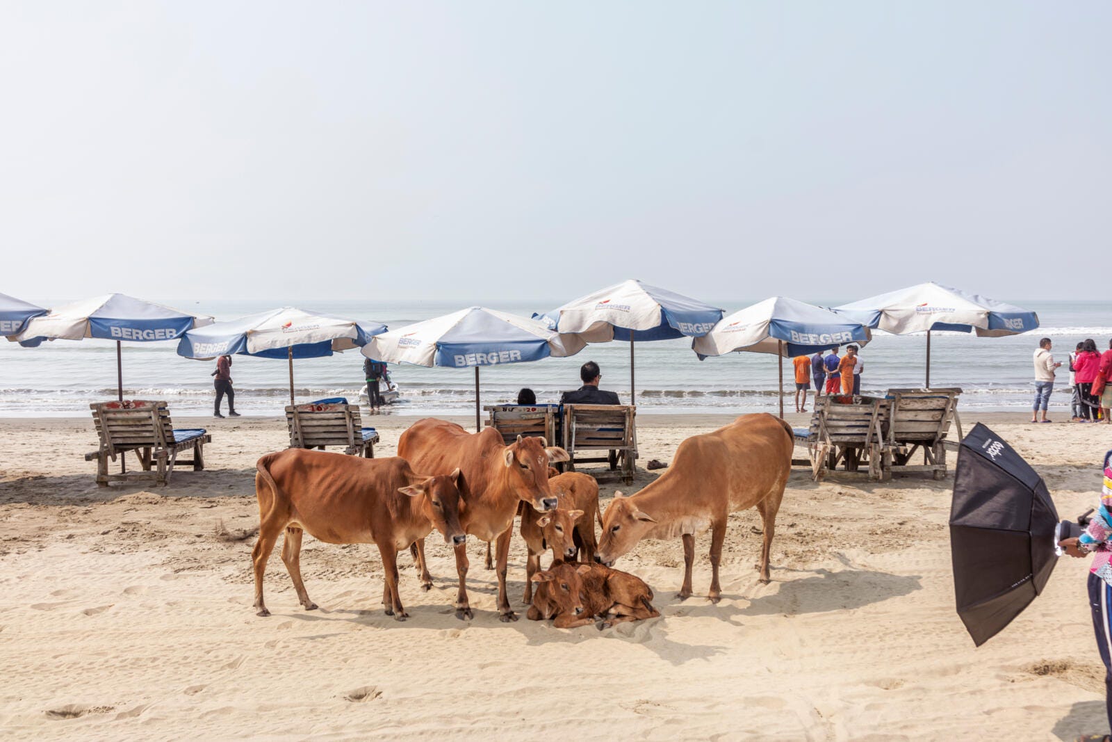 foto's op het strand van cox's bazar in bangladesh