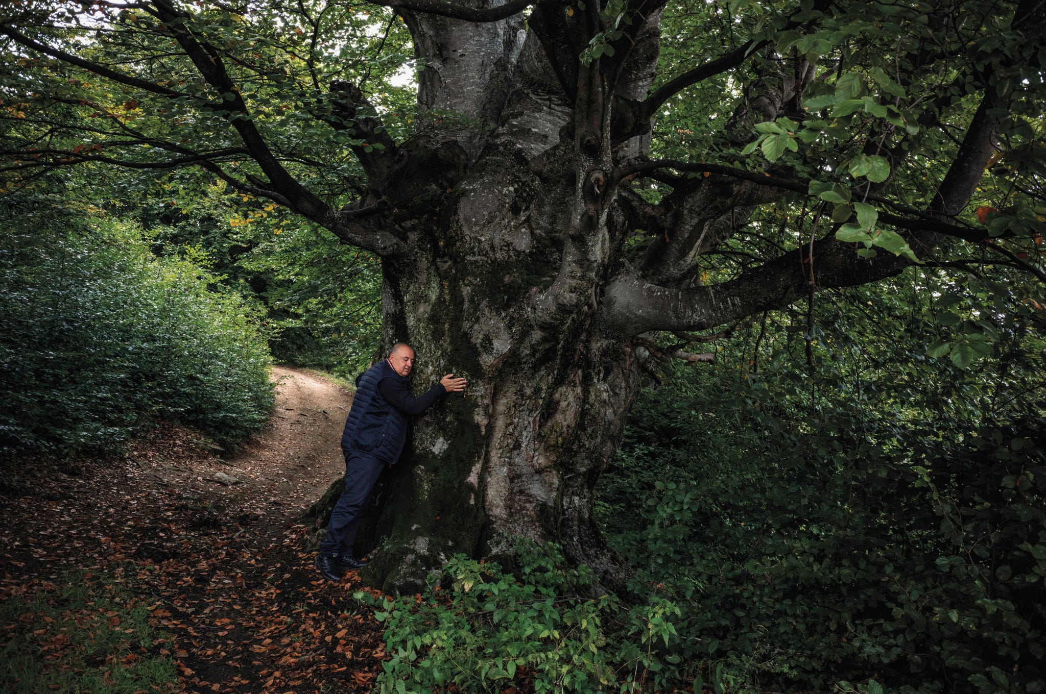rewilding europa