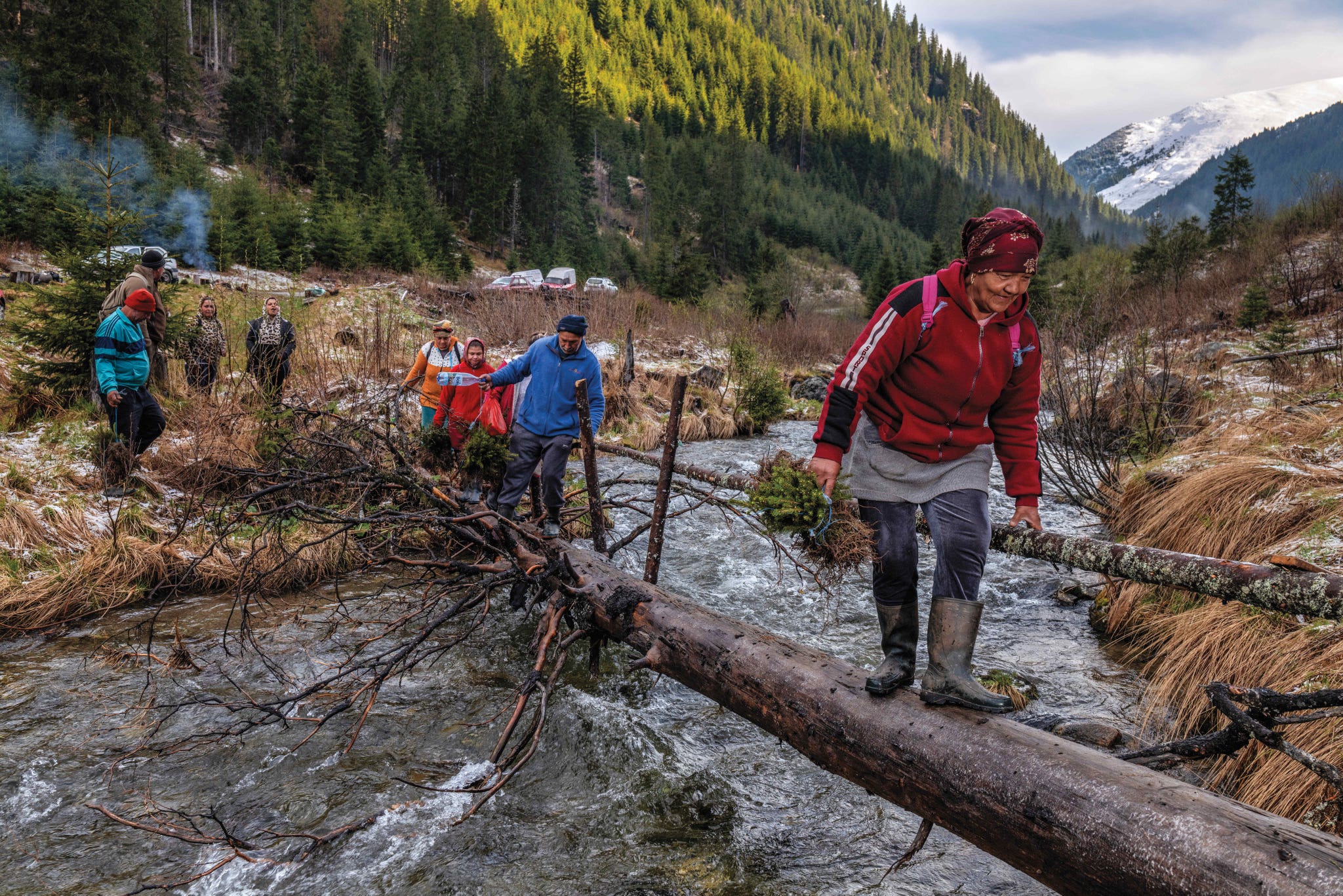 rewilding europa