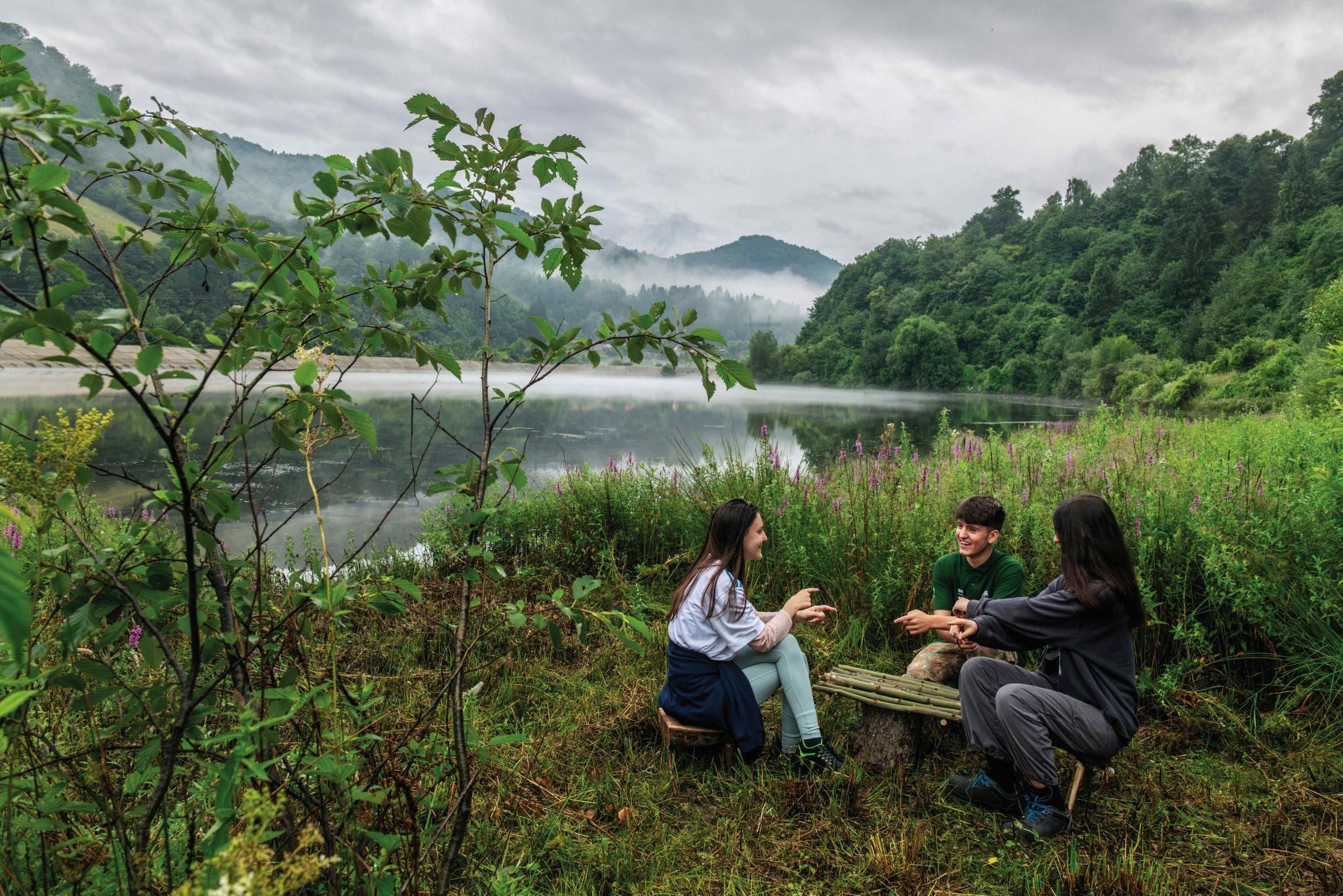 rewilding europa