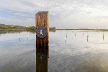 drinkwater in nederland en belgie
