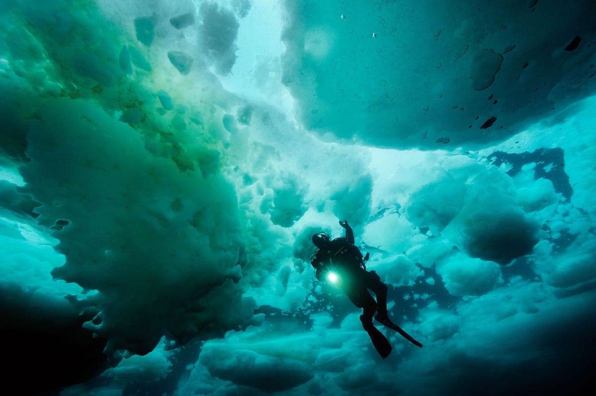 Brian Skerry National Geographic Explorer