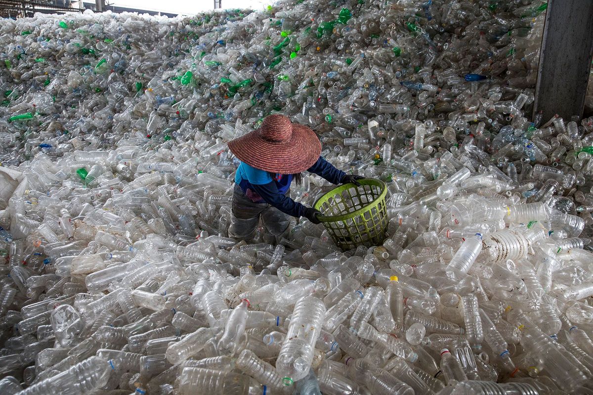 In een recyclingfabriek in Valenzuela op de Filipijnen worden plastic flesjes voor hergebruik verwerkt