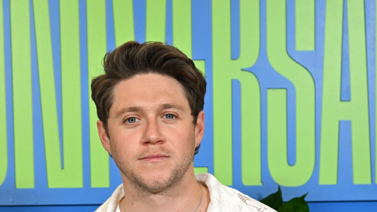 preview for Niall Horan REACTS To Tweet He Manifested One Direction Success!