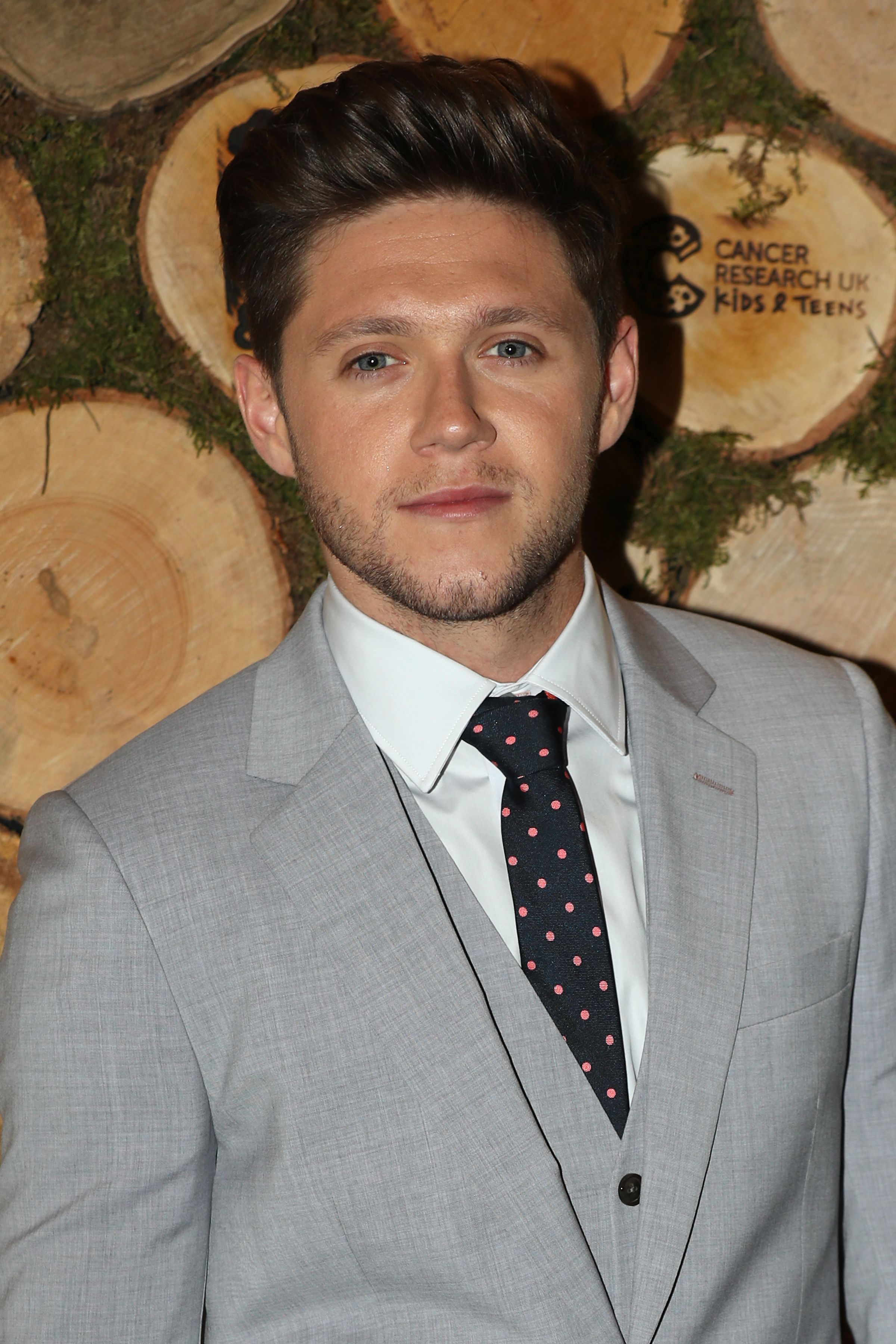 Niall Horan In A Suit