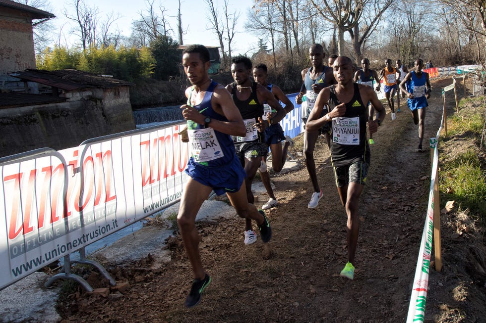 world cross country tour 90th cinque mulini 2022