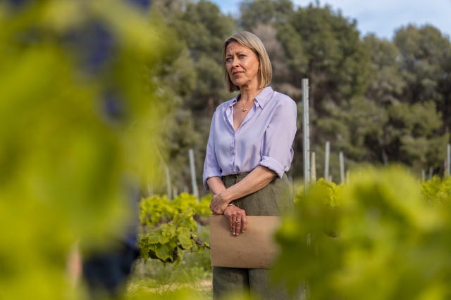 a person standing in a vineyard holding a folder